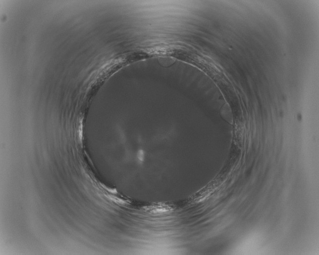 X0000068290652200604241300