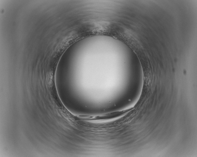 X0000068290660200604241300