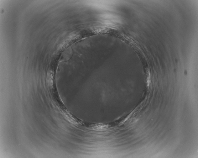 X0000068290664200604241300