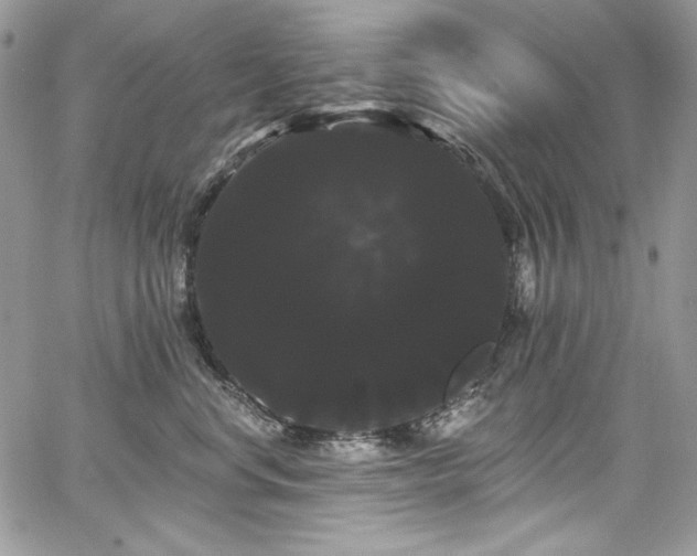 X0000068290668200604241300