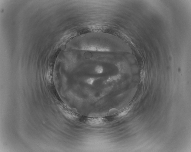 X0000068290671200604241300