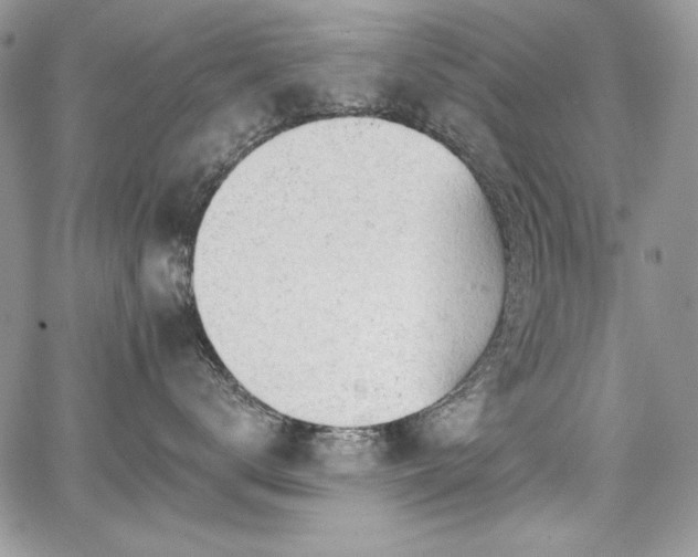 X0000068290672200604241300