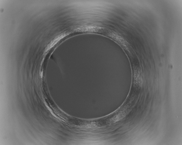 X0000068290674200604241259
