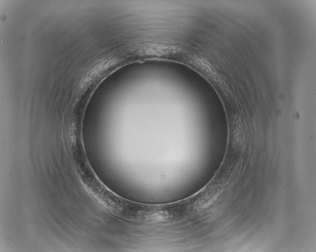 X0000068290683200604241259