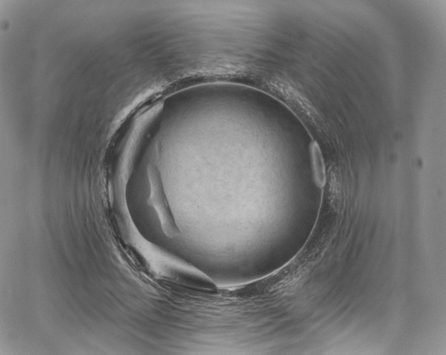 X0000068290684200604241259