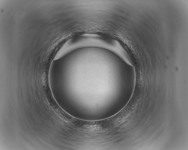 X0000068290689200604241259