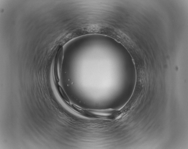 X0000068290697200604241259