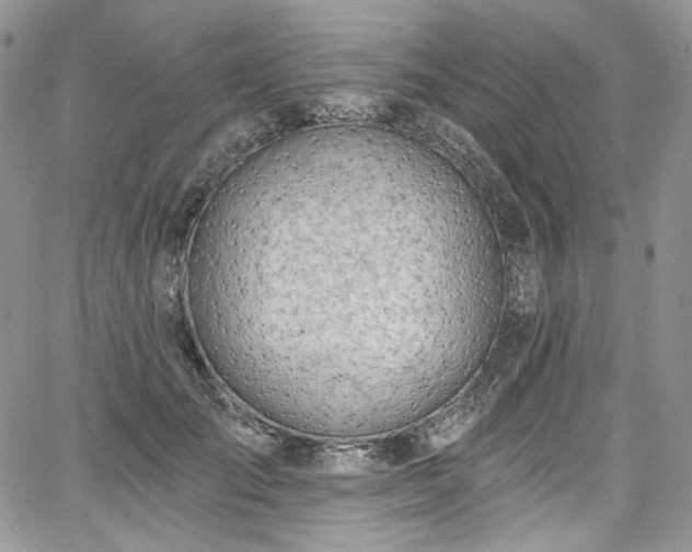 X0000068290701200604241259
