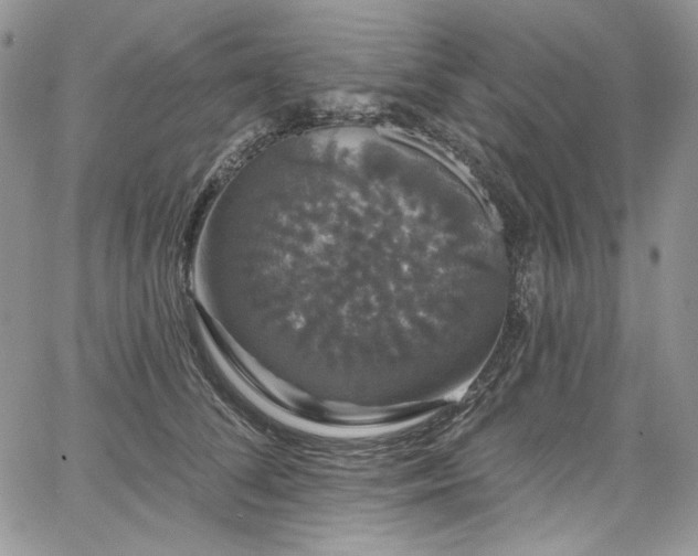 X0000068290708200604241259