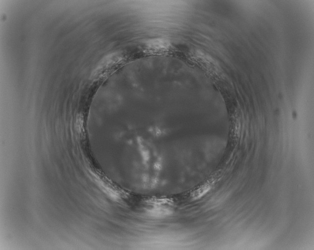 X0000068290711200604241259