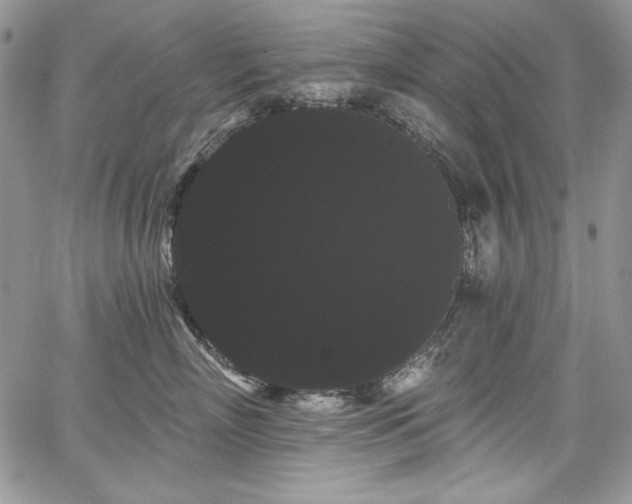 X0000068290718200604241259