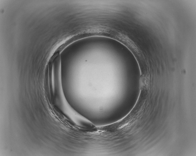 X0000068290724200604241258