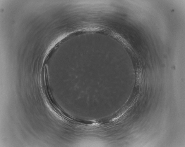 X0000068290726200604241258