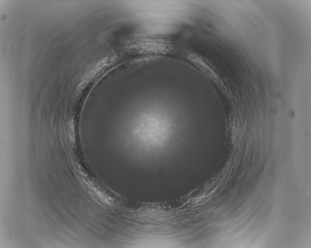 X0000068290729200604241258