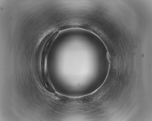 X0000068290731200604241258