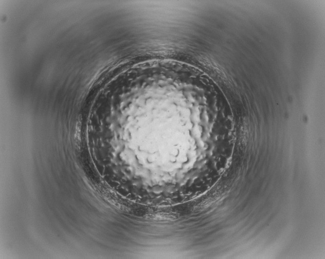 X0000068290739200604241258