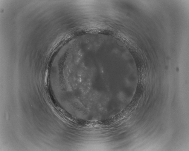X0000068290742200604241258