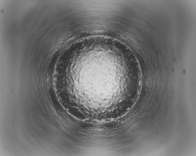 X0000068290743200604241258