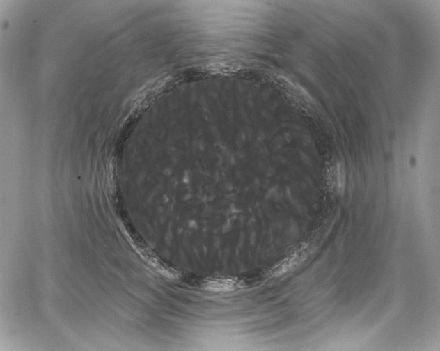 X0000068290757200604241258