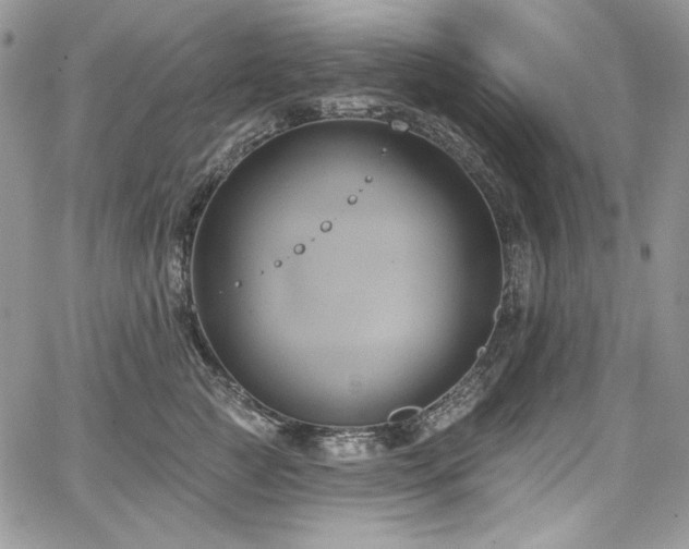 X0000068290761200604241258