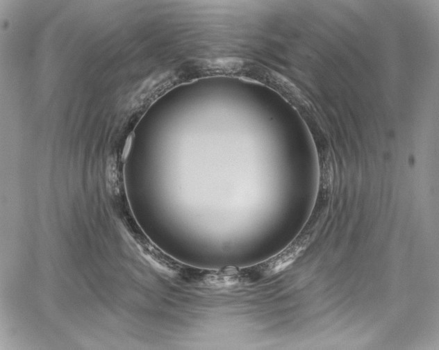 X0000068290764200604241258