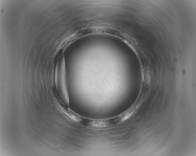 X0000068290766200604241258
