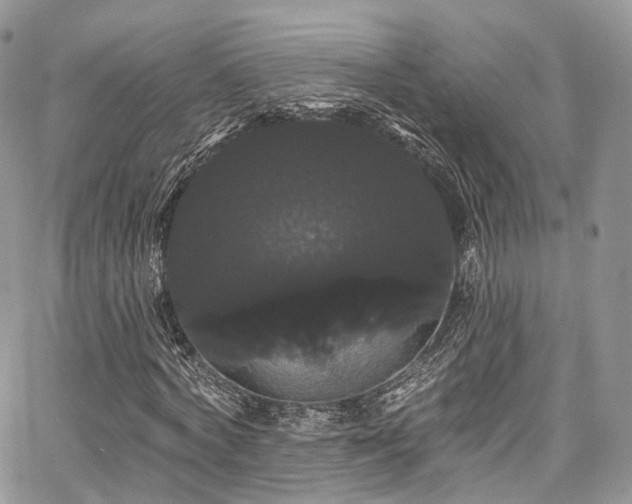 X0000068290772200604241258