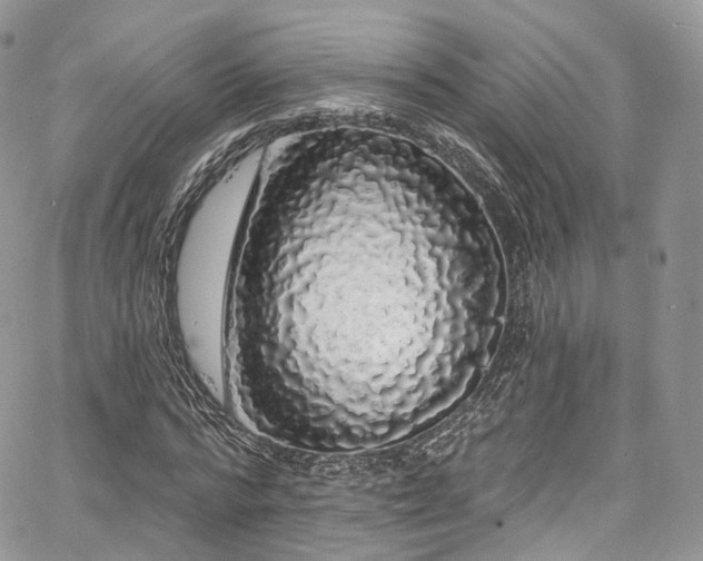 X0000068290776200604241257
