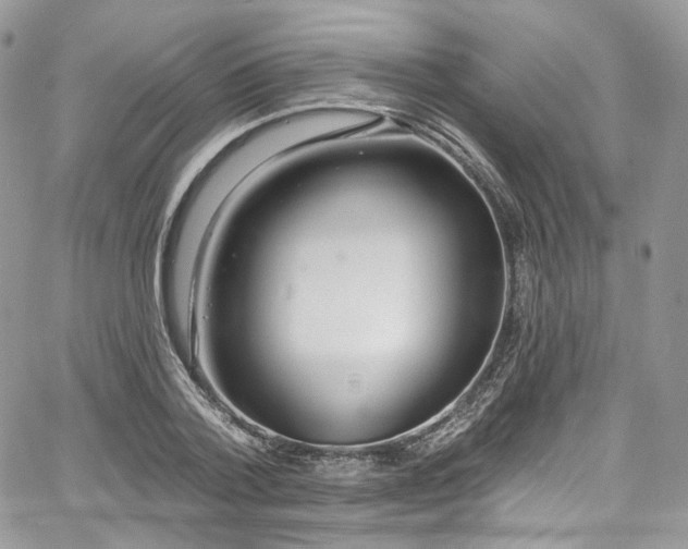 X0000068290788200604241257