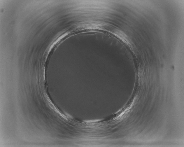 X0000068290790200604241257