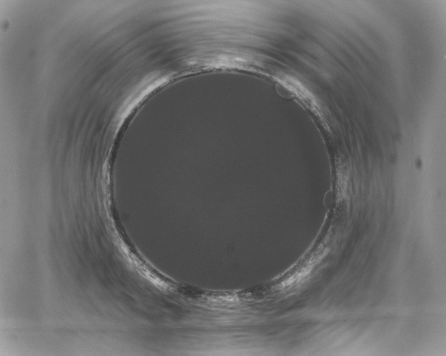 X0000068290798200604241257