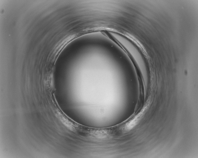 X0000068290801200604241257