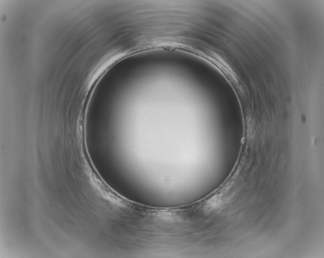 X0000068290814200604241257