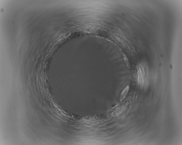 X0000068290817200604241256