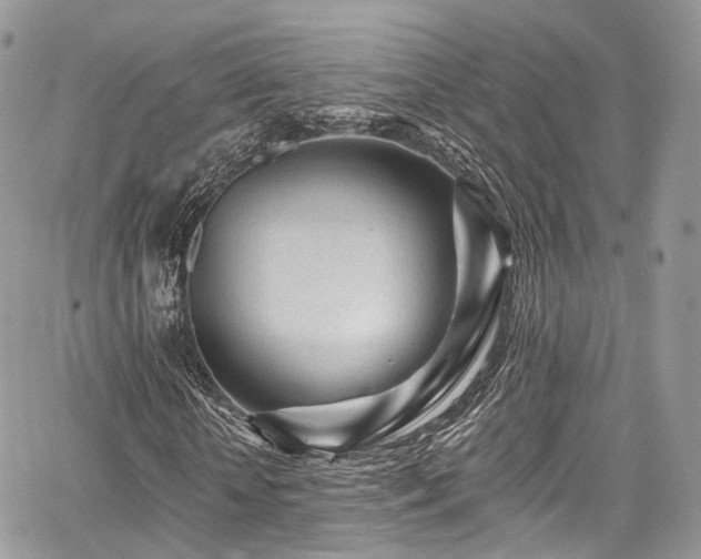 X0000068290818200604241256