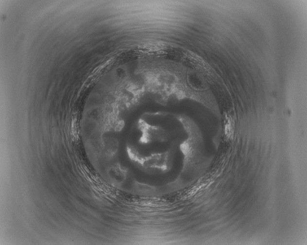 X0000068290819200604241256