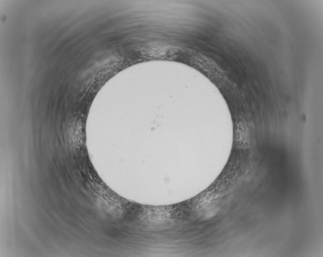 X0000068290820200604241256