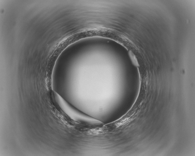 X0000068290822200604241256