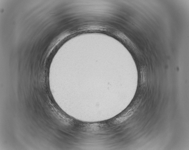 X0000068290828200604241256