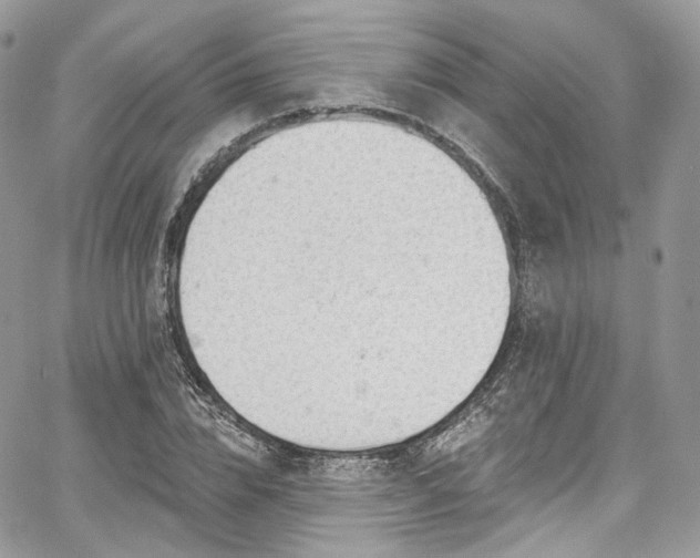 X0000068290832200604241256