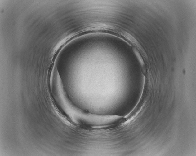 X0000068290842200604241256