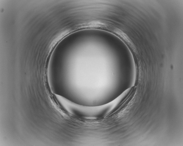 X0000068290850200604241257