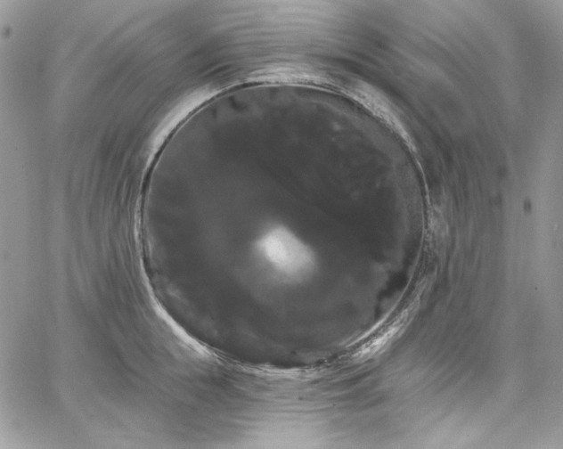 X0000068290855200604241257