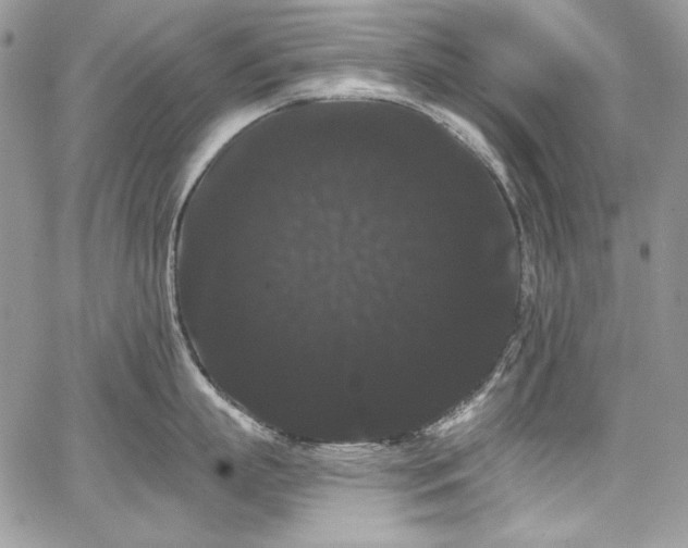 X0000068290863200604241257