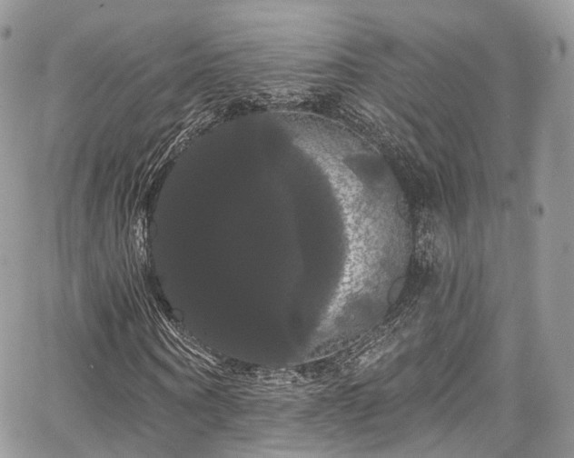 X0000068290866200604241256