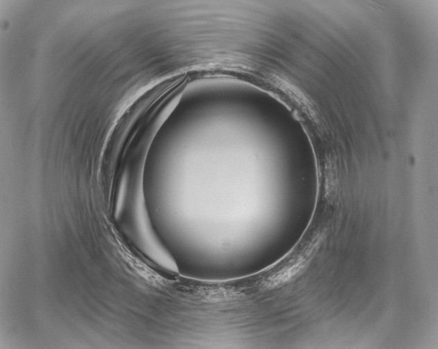 X0000068290876200604241256