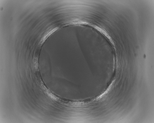 X0000068290889200604241256