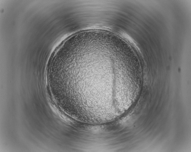 X0000068290892200604241256