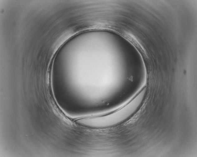 X0000068290900200604241255