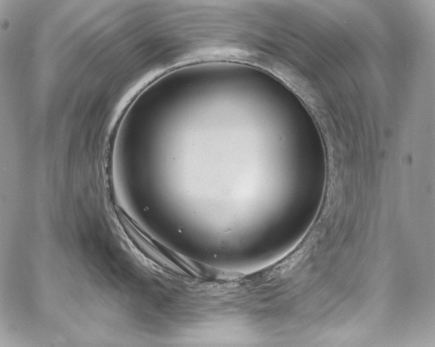 X0000068290912200604241255